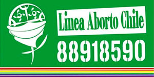 lesbianas y feministas logo